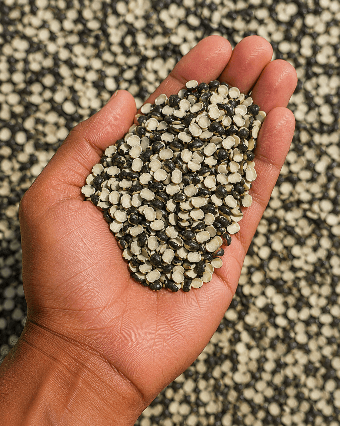Kali urad pulses product image