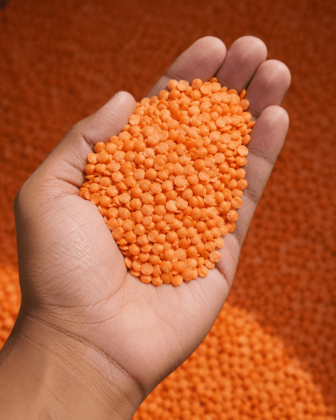 Lal masoor dal bulk pulses product image